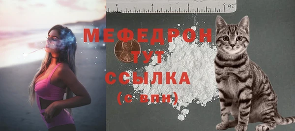 эйфоретик Няндома