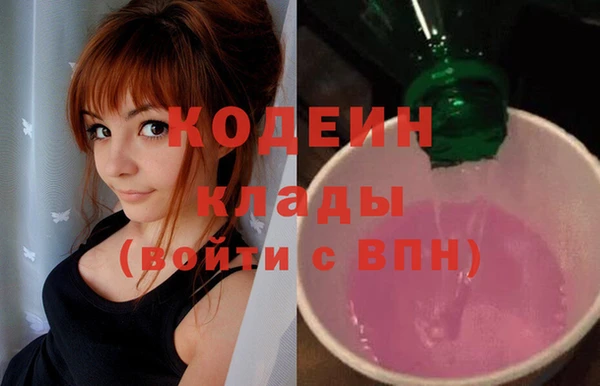 эйфоретик Няндома