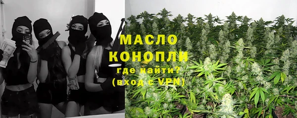 эйфоретик Няндома