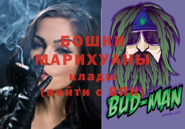 эйфоретик Няндома