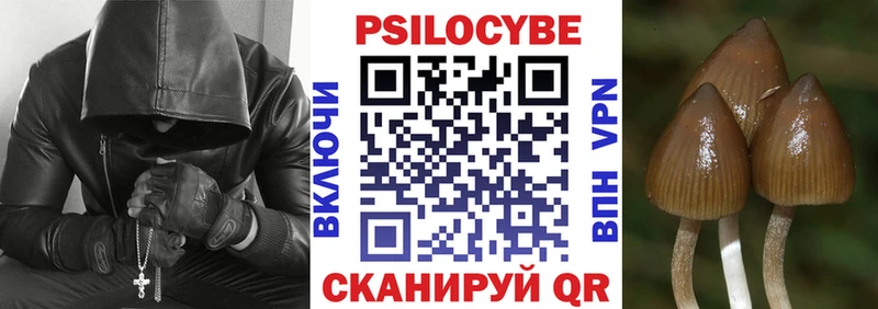 где купить наркоту  Семилуки  Галлюциногенные грибы Psilocybine cubensis 