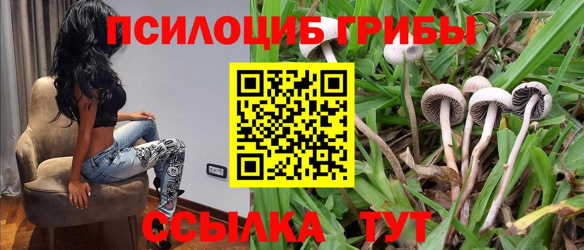 Псилоцибиновые грибы мицелий  Вход с VPN  Псилоцибиновые грибы Psilocybine cubensis  наркотики  Семилуки 