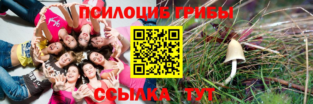 Псилоцибиновые грибы ЛСД Семилуки